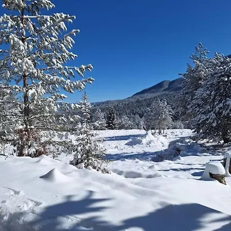 Winter Tale In The Forest * Bansko